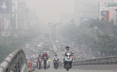 ASEAN countries cooperate to prevent forest fire and haze - ảnh 1